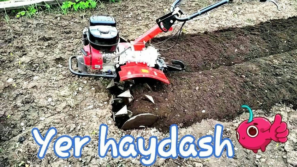 Yer xaydash dарахт кесиш