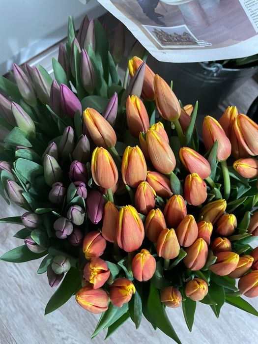 Тюльпаны предзаказ к 8 марта!