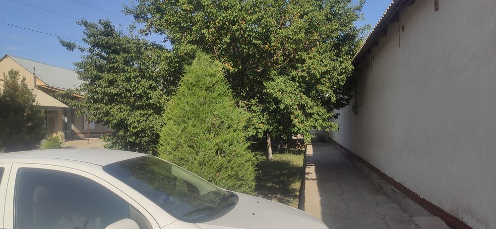 Xovli yer maydini bilan