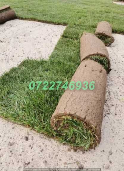 Gazon Verde Natural pentru Curți și Grădini Elegante