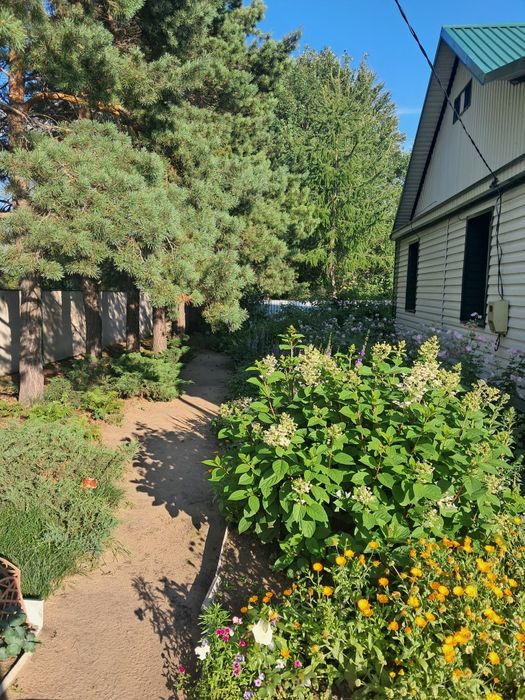 Продам дом в Бишкуле