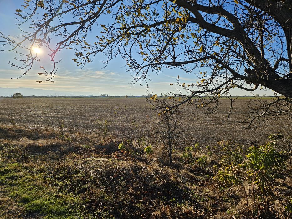 Продава се Земеделски имот в с. Рогош, Област Пловдив -  кв.м за 7600 €/дка - Снимка #3