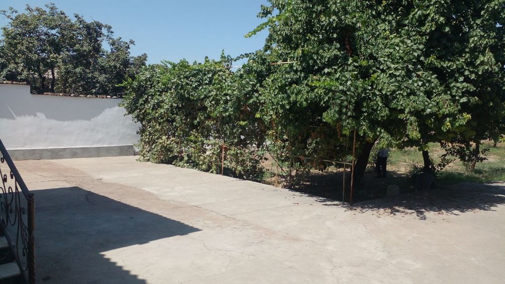 Срочна сотилади котта ховли