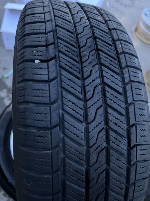 Kobalt saka 15 gm arginal