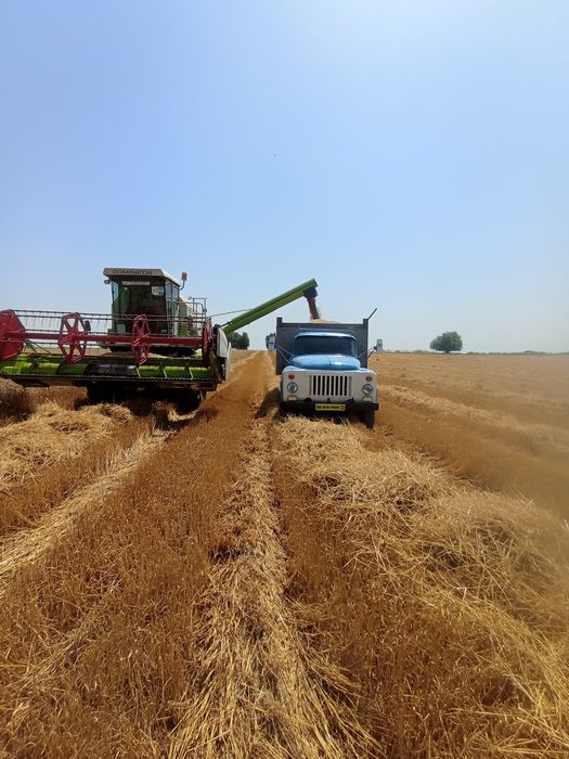 Gaz 53 sotiladi zavattiskoy samasval xujjati joida gaz ga ruxsati bor