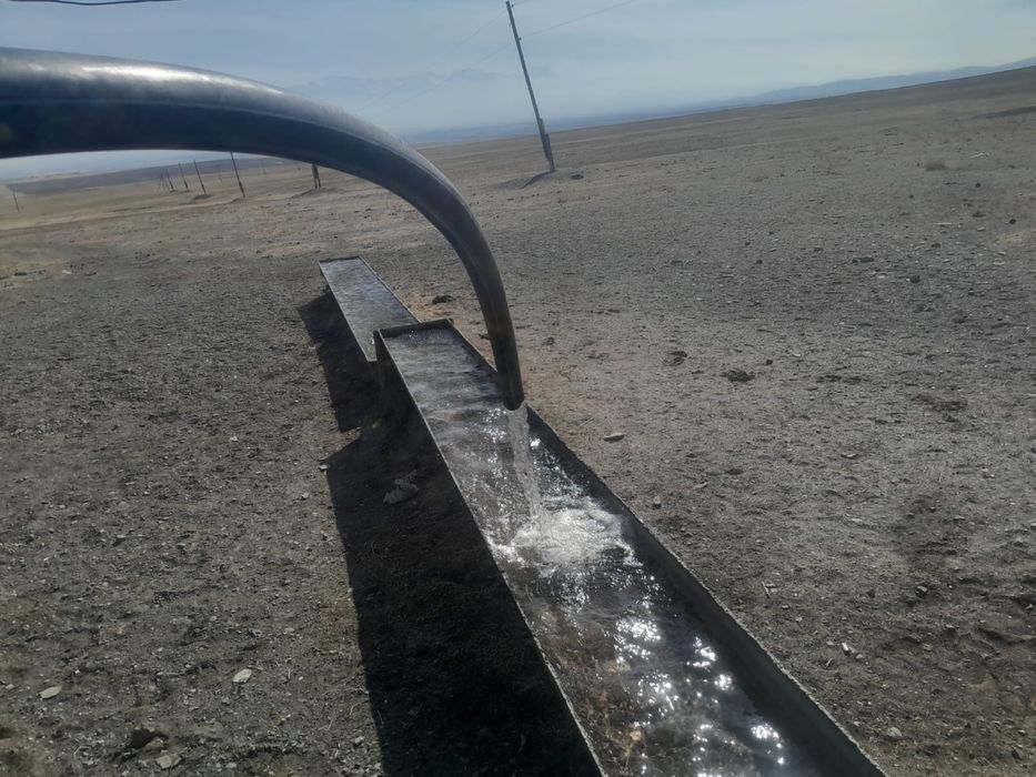 Фазенда сатылады