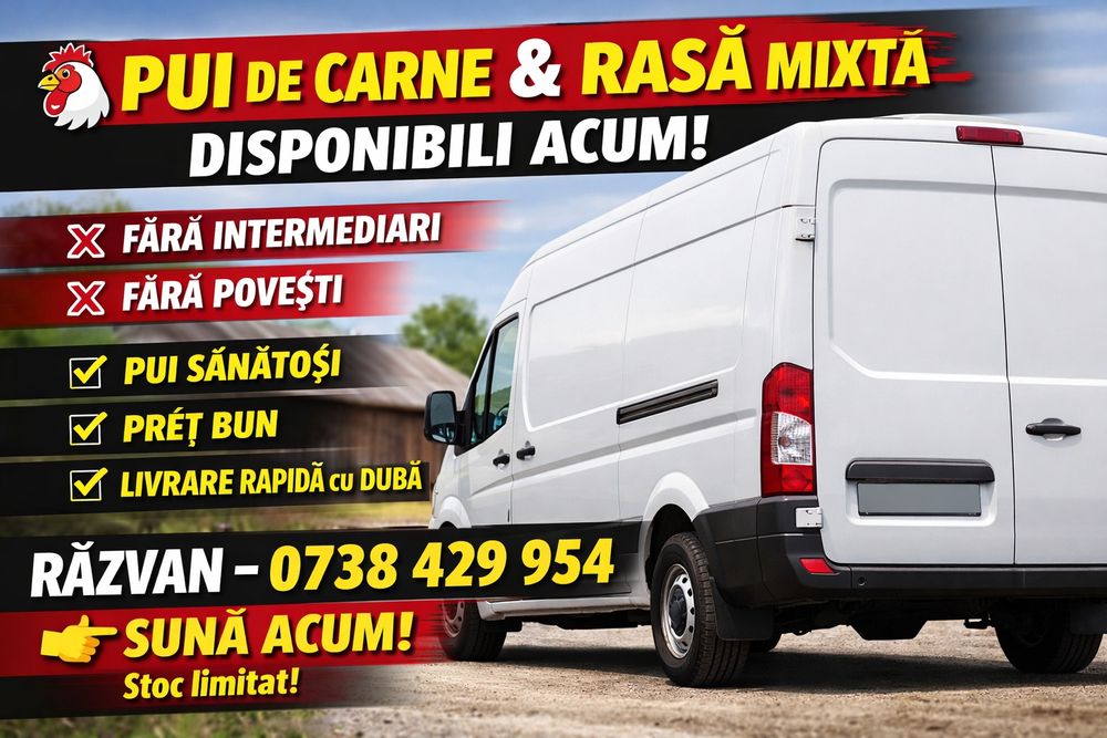 Vând pui albi de carne și pui rasă mixtă