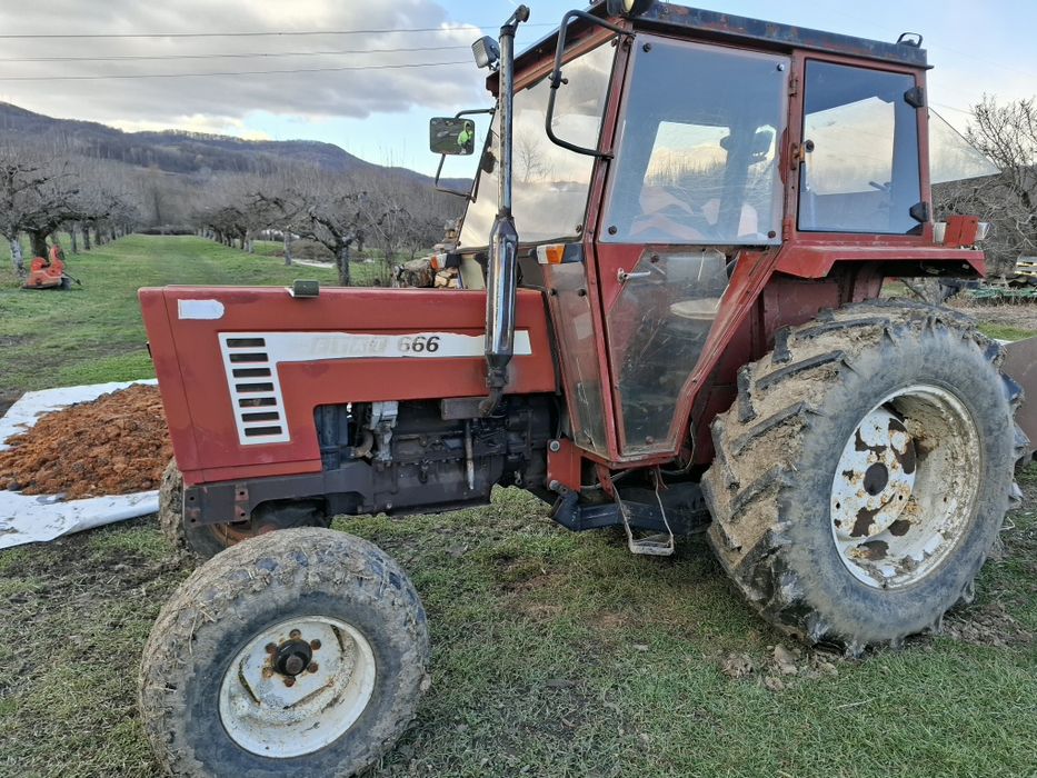 Tractoare, accesorii, mașini de tuns gazonul