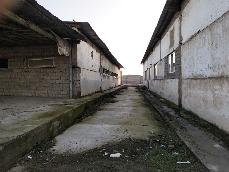 Срочно. База 1.5 гектар.