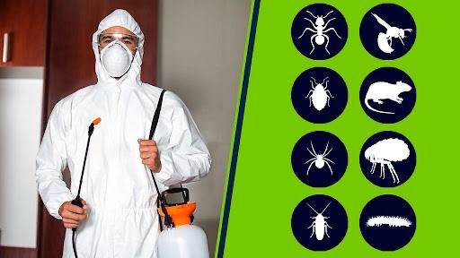 Дезинфекция дезинсекция от тараканов от клопов от запаха dezinfeksiya