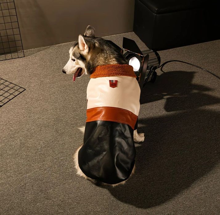 Бомбер для собак крупных пород. Утепленный