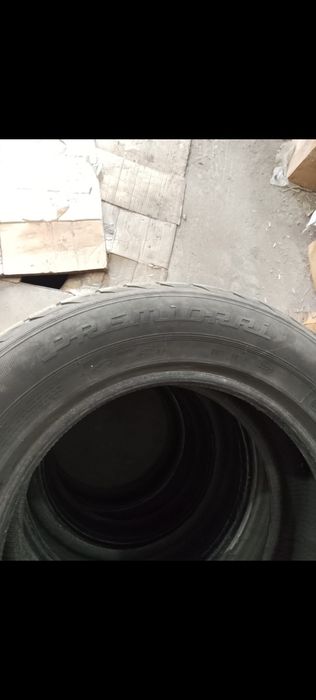 Продаю шины Липучка