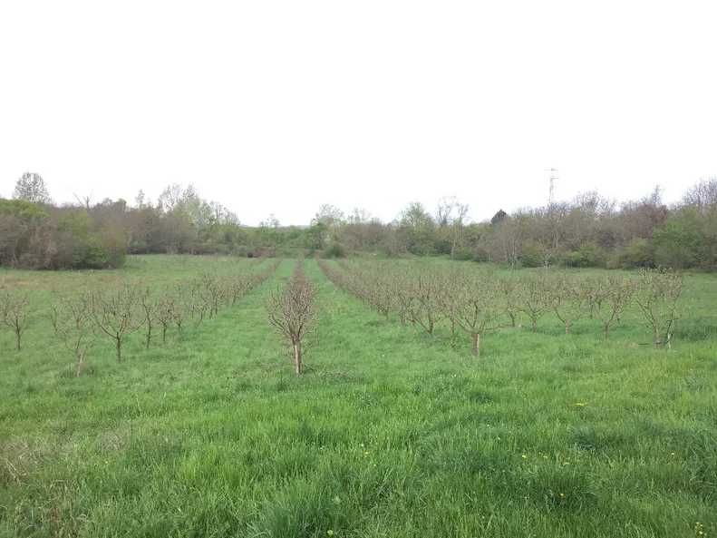 Земеделска земя с водоем и капково напояване