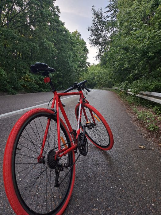 Bicicleta semicursiera