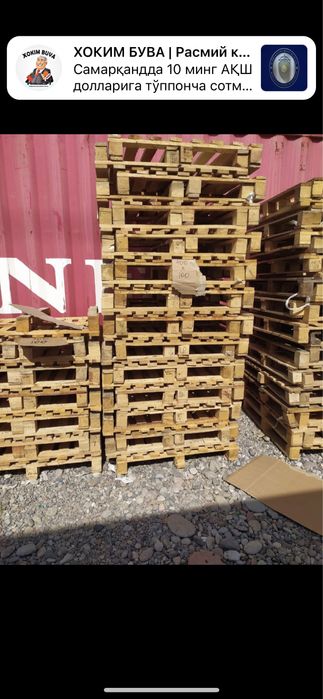 Paddon arzon narxda.