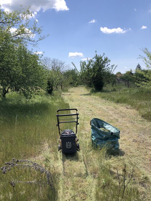 Косене на трева и поддръжка на дворове – Бургас