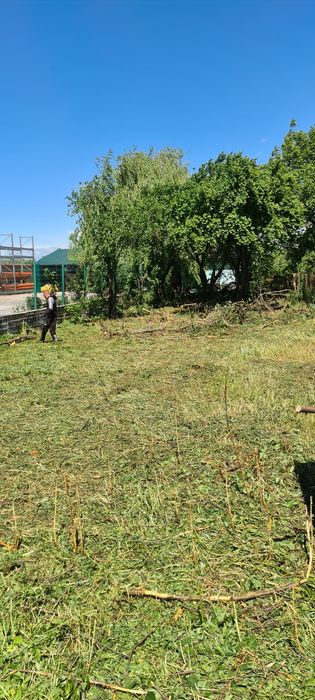 Servicii complete cosire defrișare și eliminare a ambroziei tocare