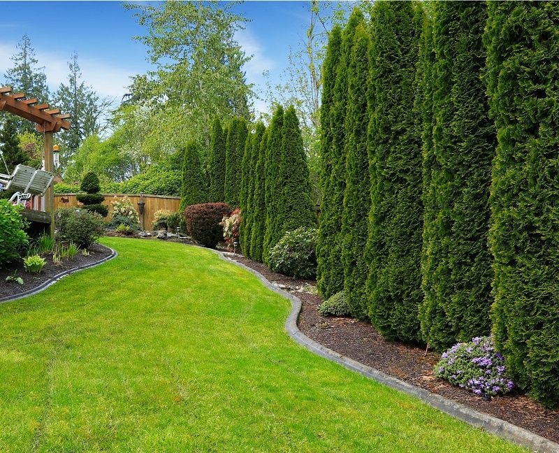 Професионално косене и поддръжка на дворове  Пловдив