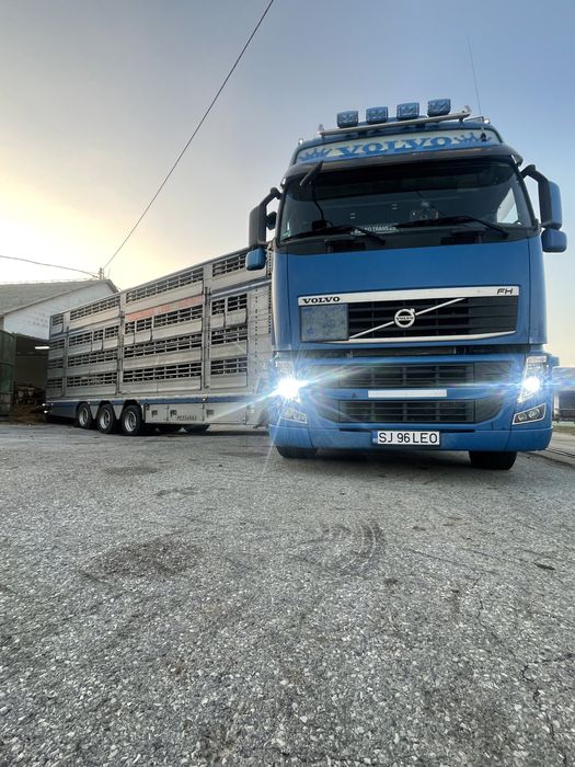 Transport animale vii