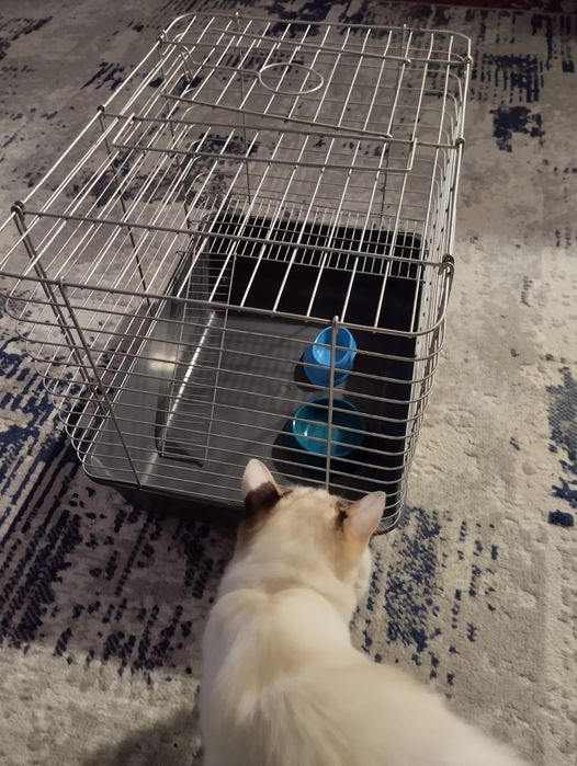 Клетка для грызунов