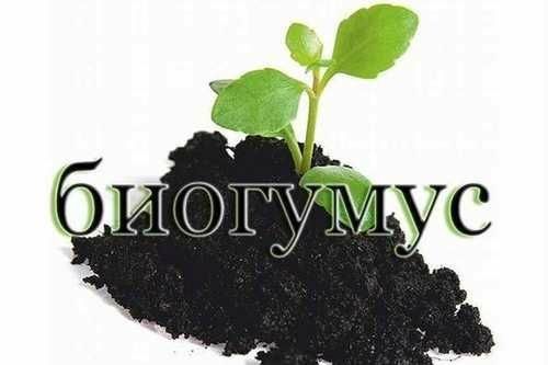Ekalogik tozza mineral o'g'it Biogumus