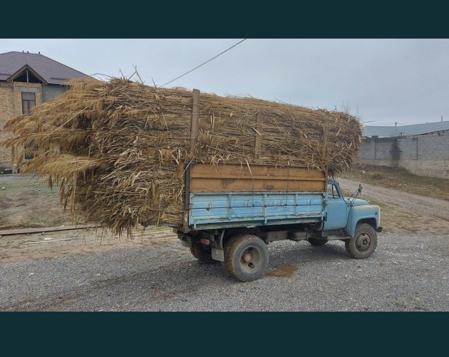 Қамыс сатылады. Бау қамыс