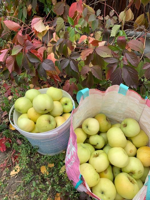 Продается дача в с/о "Колос"