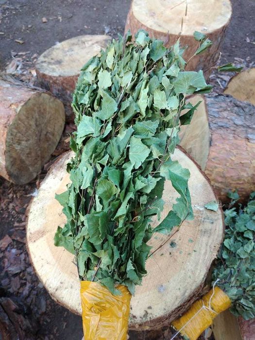 Березовые веники