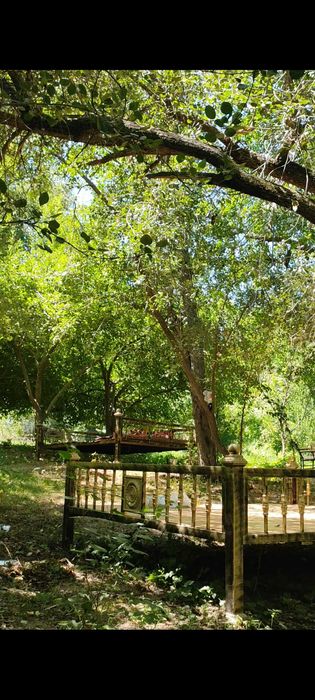 Soya salqin bog', atrof esa tinch va sokin.