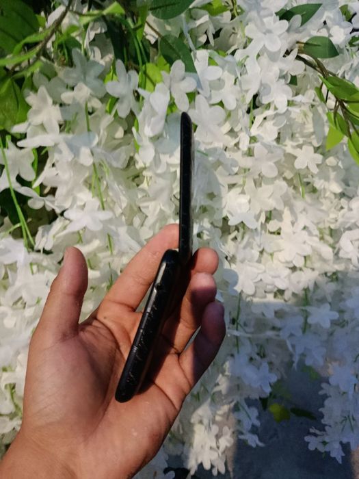 Novey senat                      .