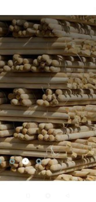 Lapatalar soplsri rasiyadan keltrilgan