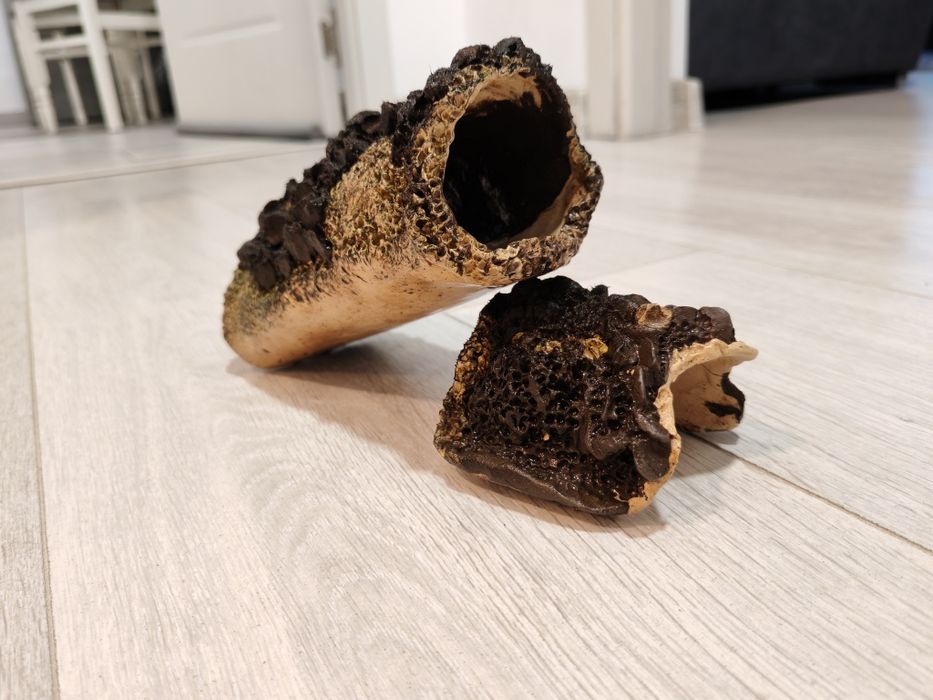 Vând decorațiune acvariu