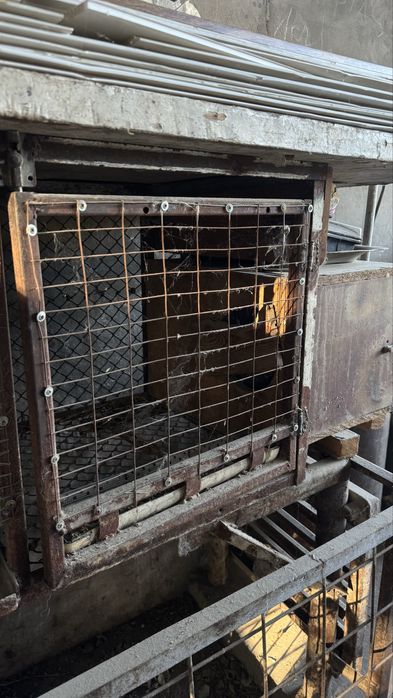 Продам метал клетки для кроликов
