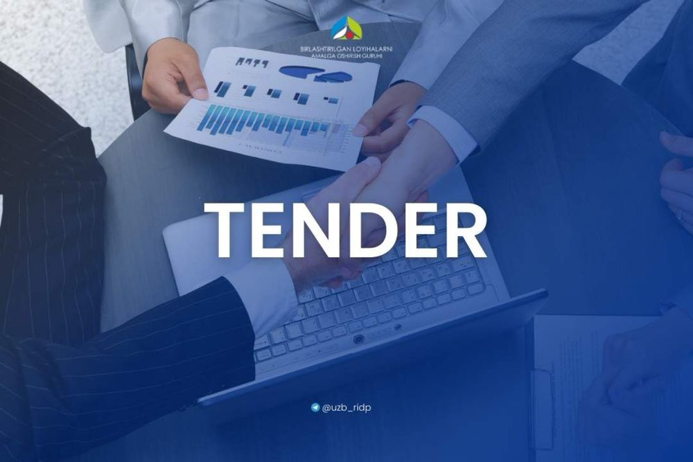 Тендерге қатысуға көмектесемін