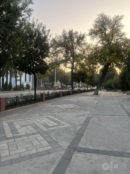 Новамасковский. Дархон.