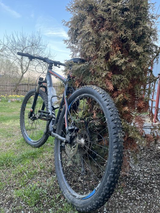 Vand bicicleta omega