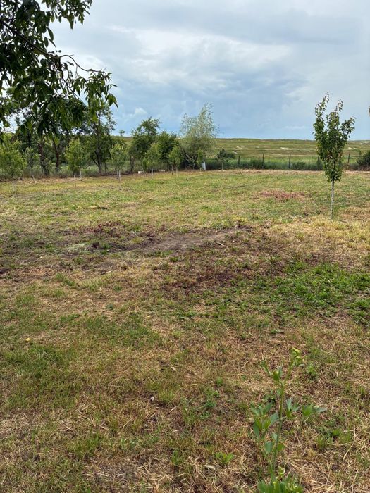 Vand Casa, curte si gradina