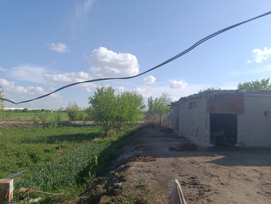 Yer maydoni sotiladi  Buxoro viloyati jondor tumani 10s