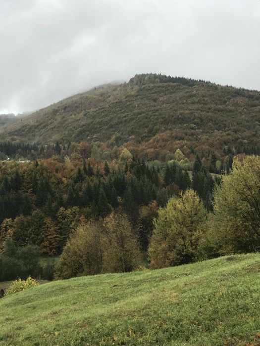 Afacere la cheie /pensiune/ proprietate/ teren 2 ha  de vânzare Hangu –Neamt