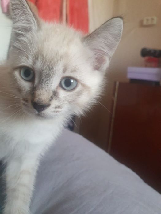 Мальчик 1,5 месяца