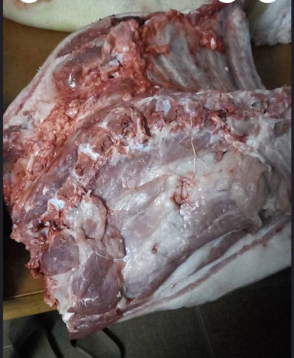 Домашнее мясо свинины