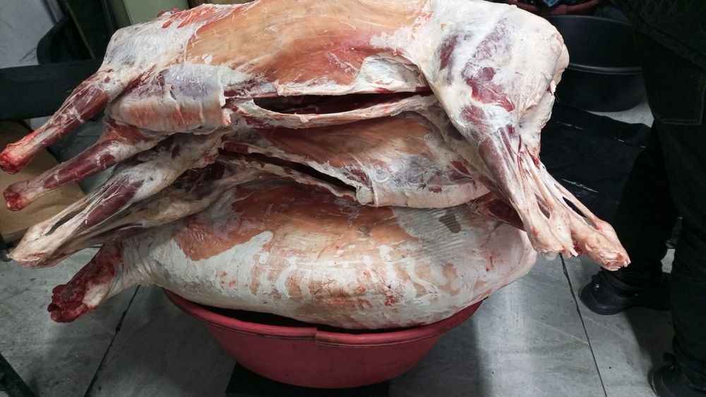 баранина баранина