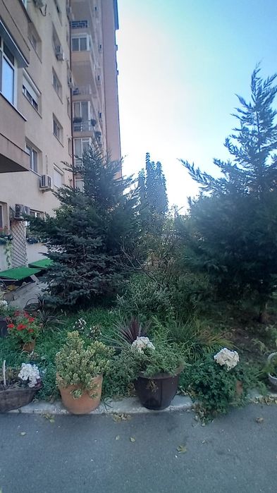 Apartament 5 camere București