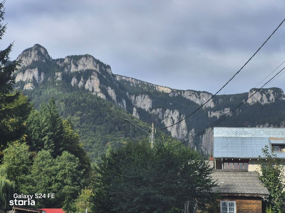 Teren izvorul muntelui 328 mp