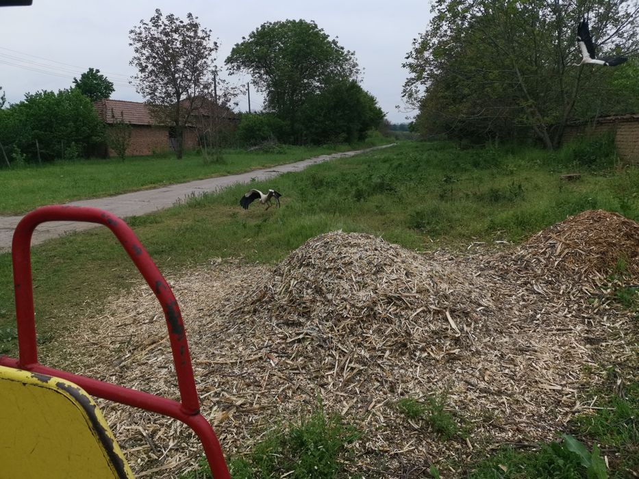 Услуги с дробилка за клони