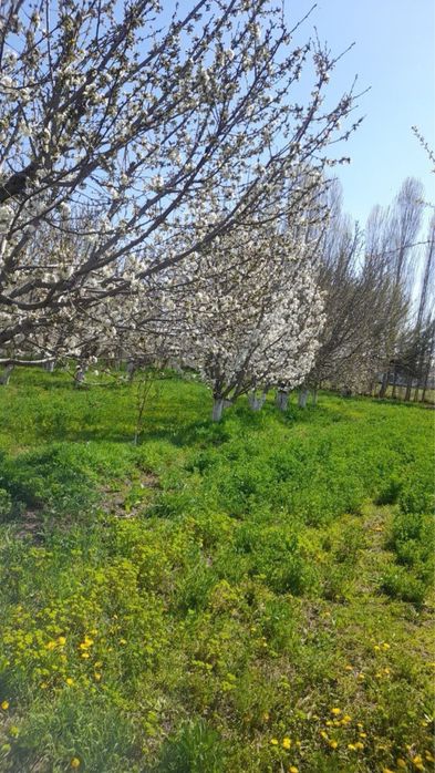 Продается участок 20соток