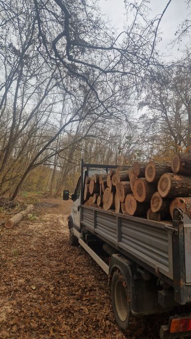 Lemne de foc la metru.