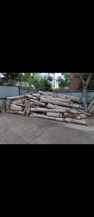 Топельное дерево