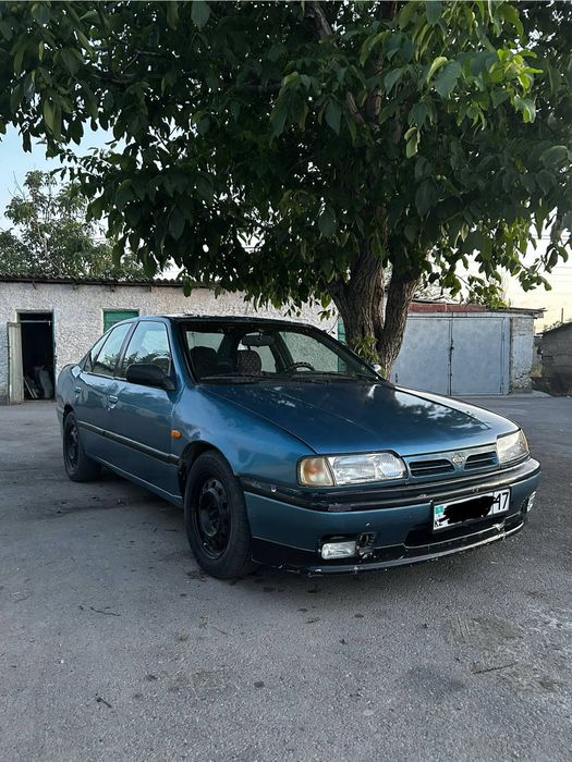 nissan primera сатылады