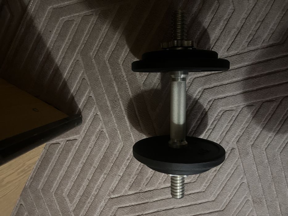 Дъмбели по 10кг всяка